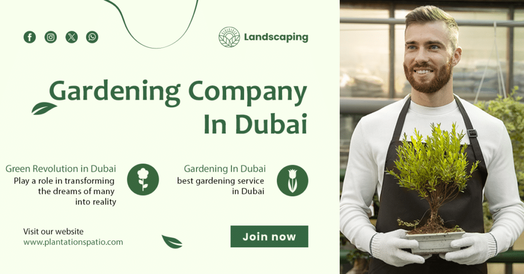 best gardening service in Dubai / gardening maintenance services