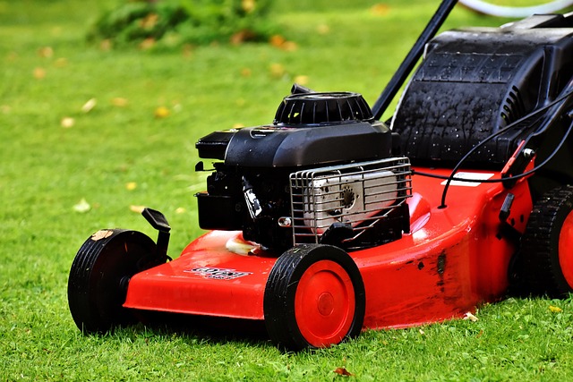 #1. Grass Cutting Machine Services