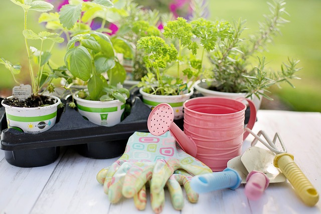 #No:1 Expert Garden Maintenance Services in Dubai, Sharjah, and UAE