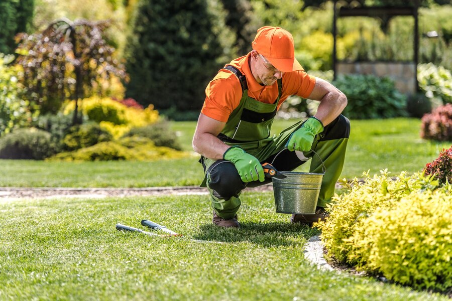 maintain the garden in Dubai