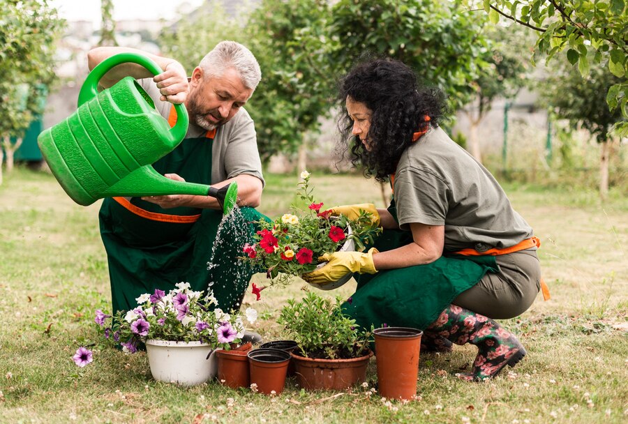 Professional Gardener in dubai