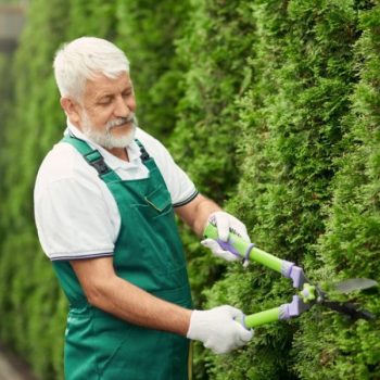 senior-gardener-using-scissors-for-bushes-e1621738201658-p7kkawnzvxoofpmlpnrfw30nuauquttikc7ii1fwxc